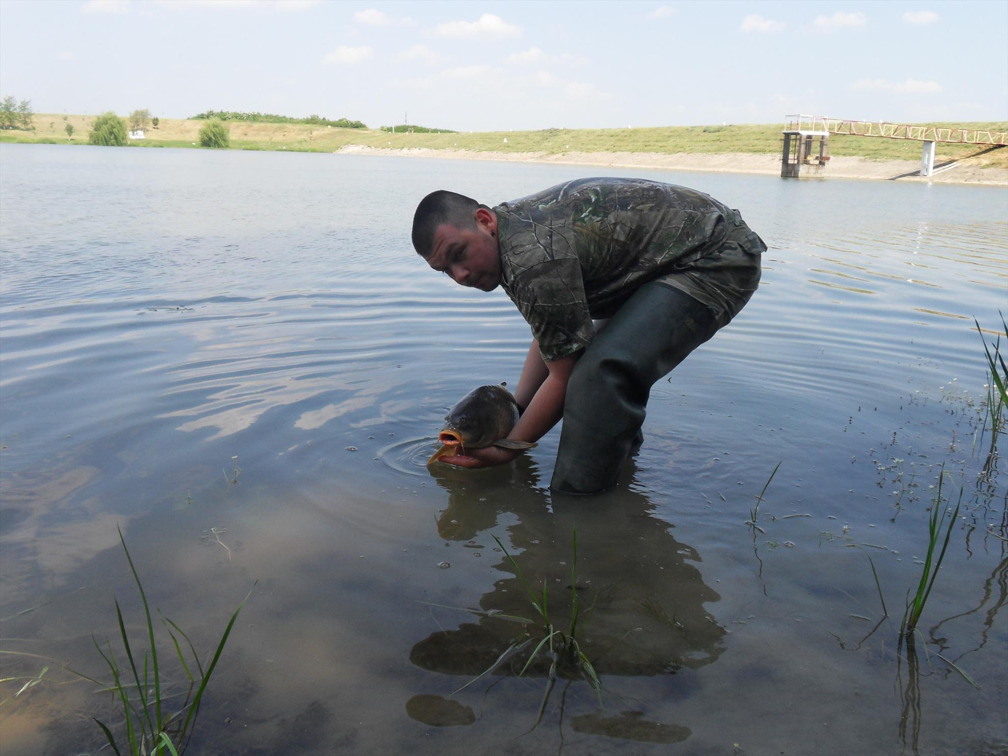 Cetariu 2011 - cetariu2011-011.JPG